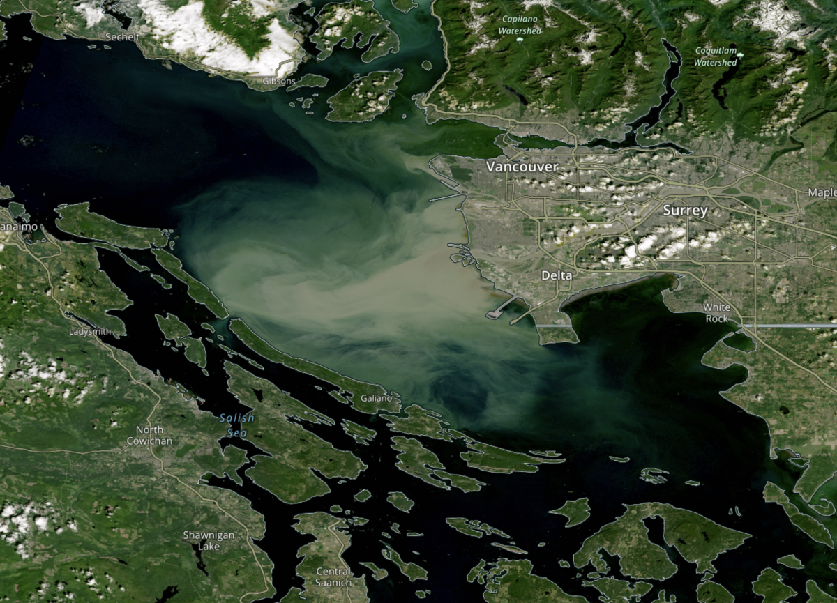 Fraser River Plume